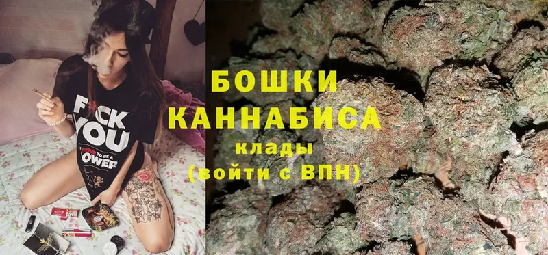 Марихуана Amnesia  купить  сайты  mega как войти  Белокуриха 